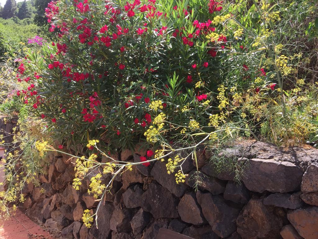 Finca Madrugada 圣克鲁斯-德拉帕尔马 外观 照片