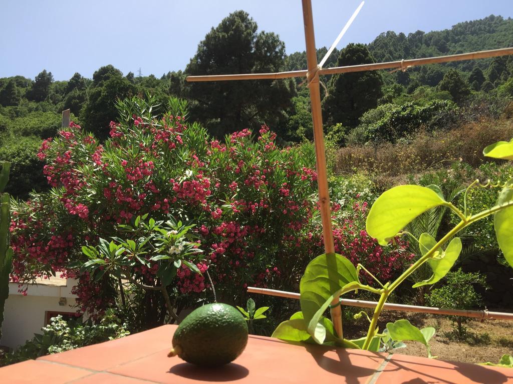 Finca Madrugada 圣克鲁斯-德拉帕尔马 外观 照片