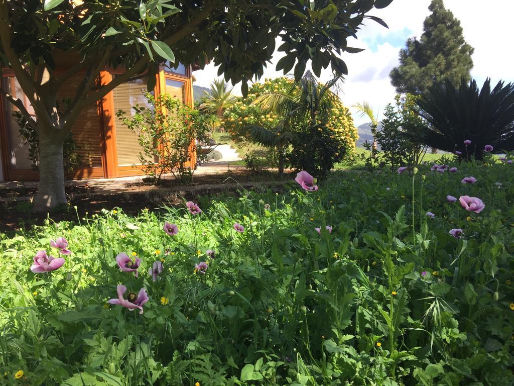 Finca Madrugada 圣克鲁斯-德拉帕尔马 外观 照片